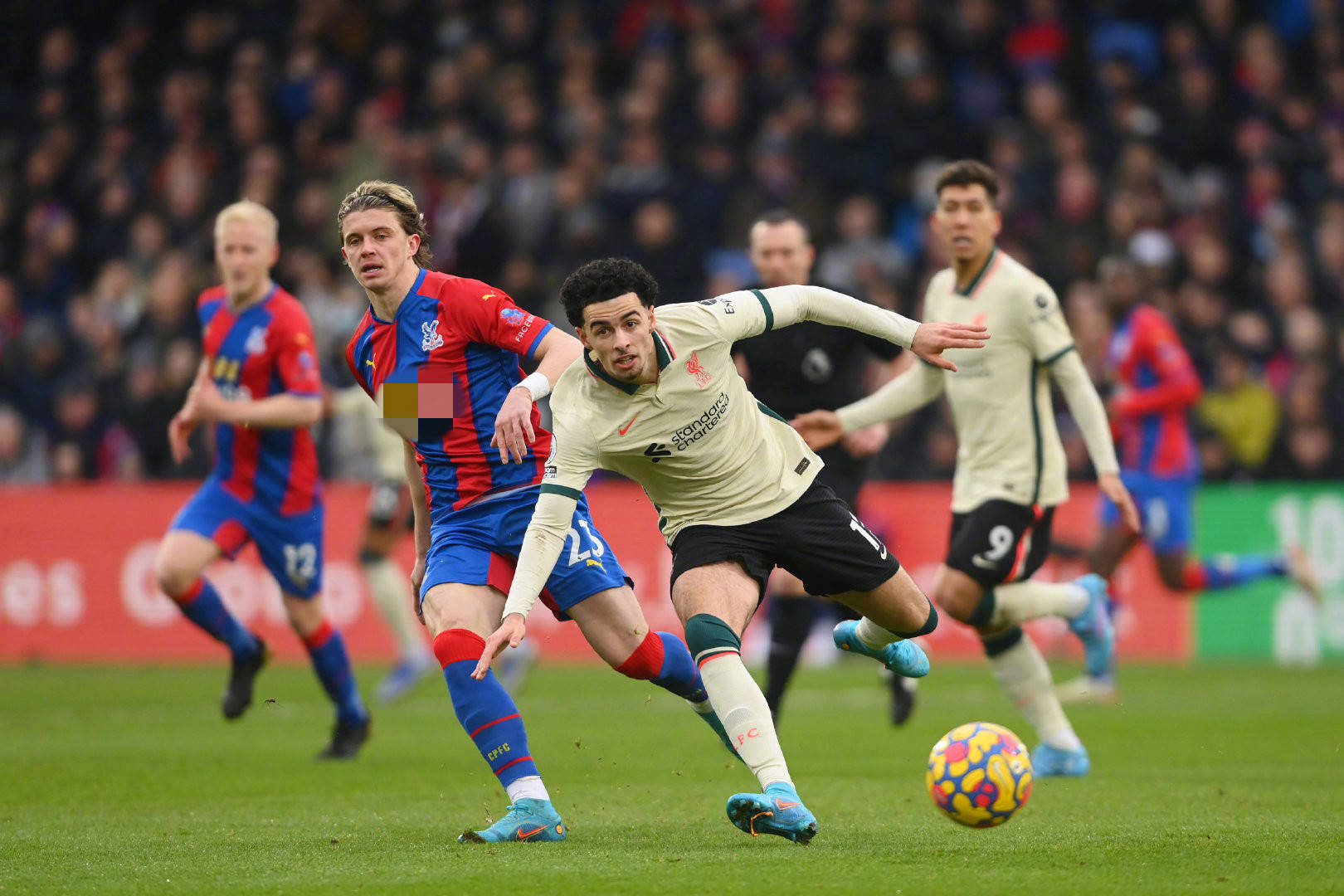 曼联提拔新 曼联提拔新